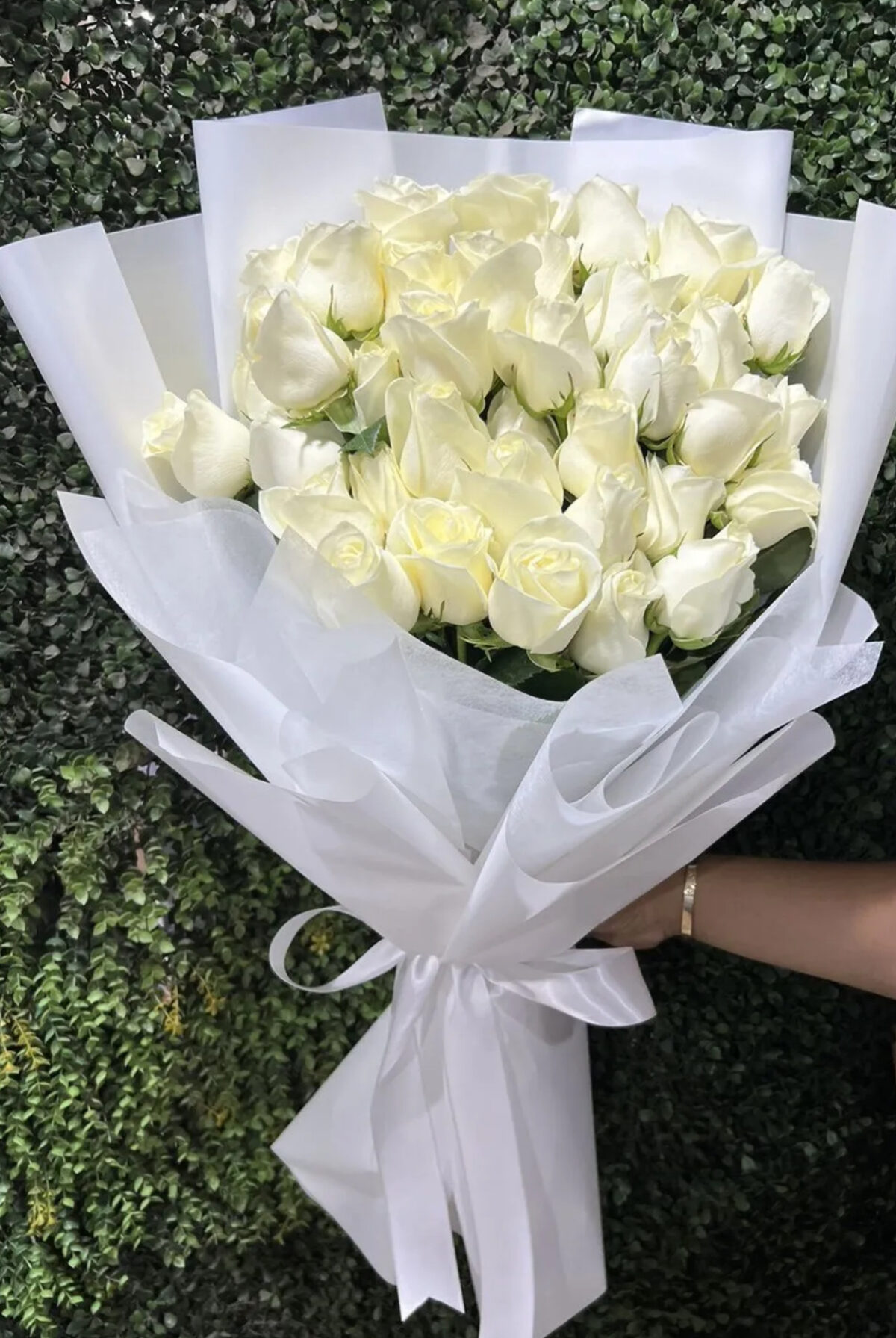 ROSAS BLANCAS