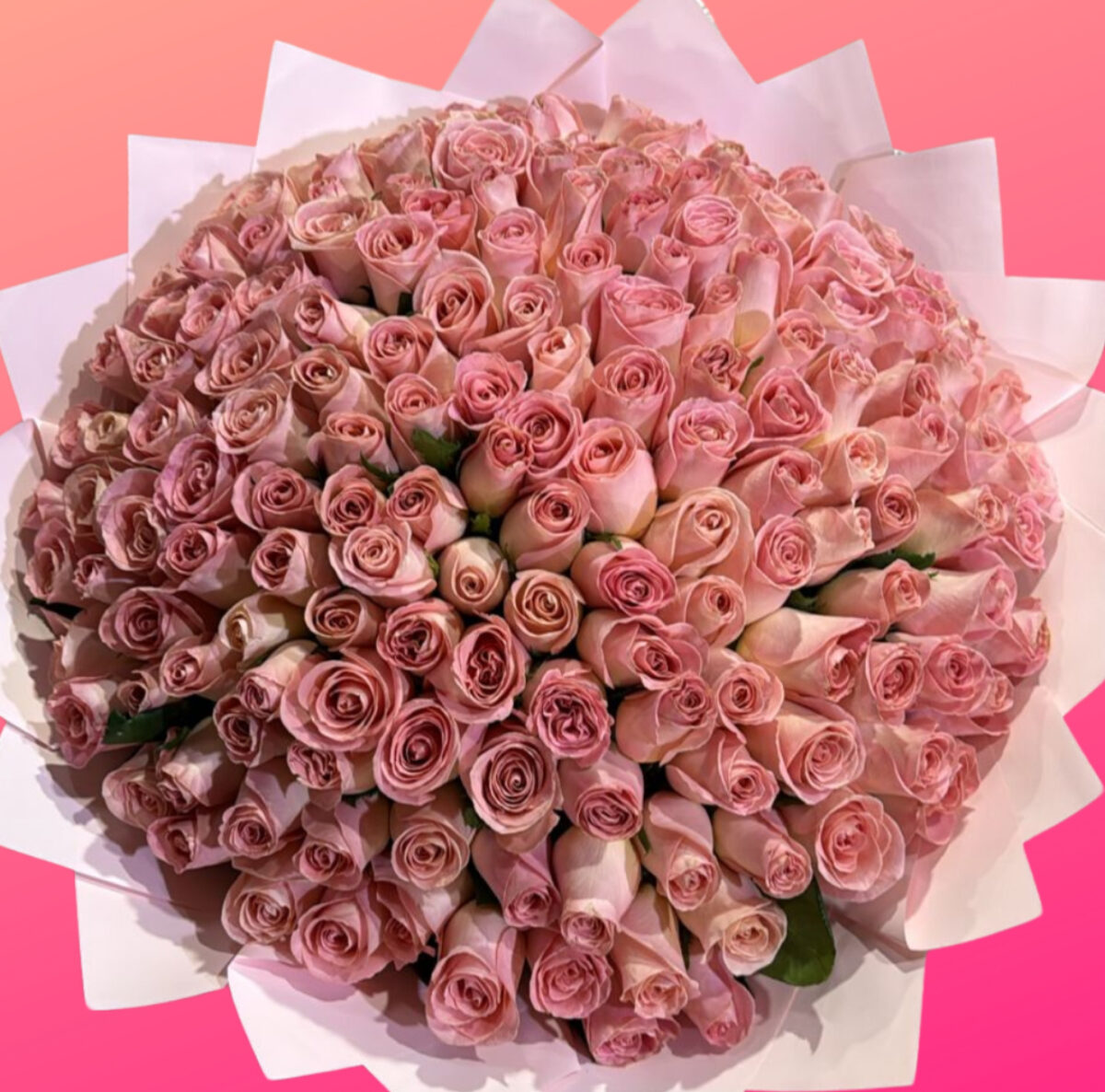 RAMO DE 200 ROSAS HERMOSAS
