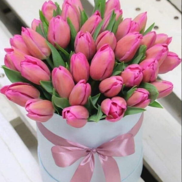 CAJA  CON 40 TULIPANES