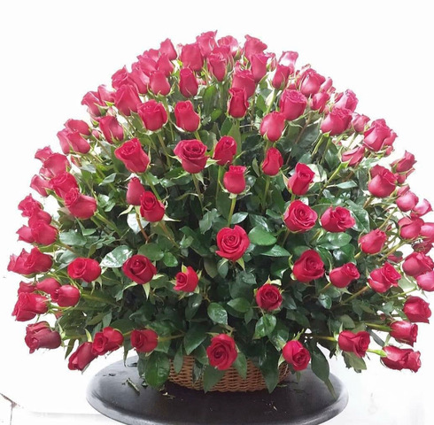 CANASTA CON 200 ROSAS ROJAS.