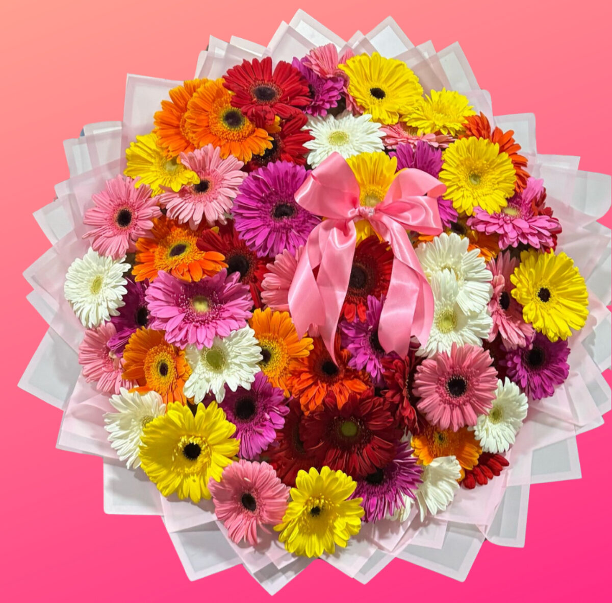 RAMO ELEGANTE  DE 50 GERBERAS