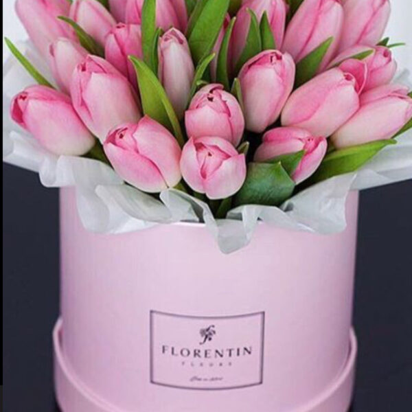 Tulipanes Premium